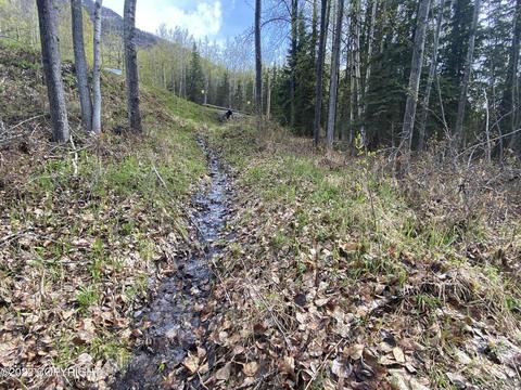27141 Roop Rd, Eagle River, AK 99577 photo 43