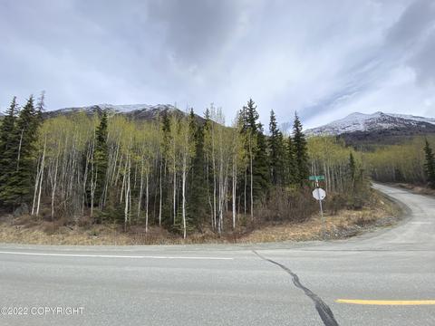 27141 Roop Rd, Eagle River, AK 99577 photo 5