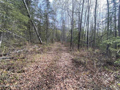 27141 Roop Rd, Eagle River, AK 99577 photo 29