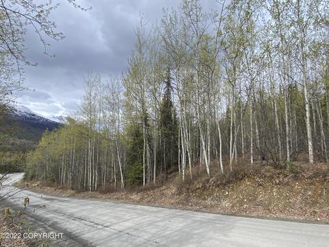 27141 Roop Rd, Eagle River, AK 99577 photo 10