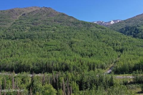 27141 Roop Rd, Eagle River, AK 99577 photo 76