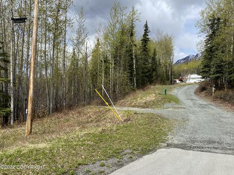 27141 Roop Rd, Eagle River, AK 99577 photo 13