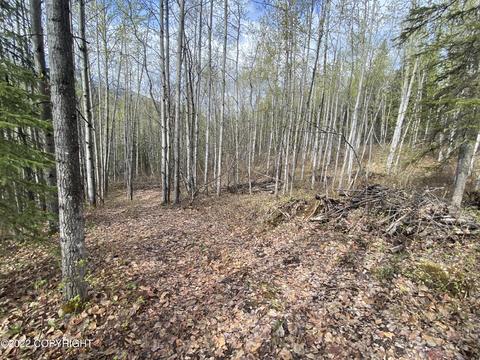27141 Roop Rd, Eagle River, AK 99577 photo 38