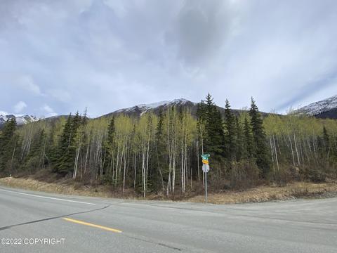 27141 Roop Rd, Eagle River, AK 99577 photo 6