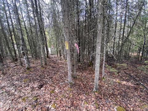 27141 Roop Rd, Eagle River, AK 99577 photo 30