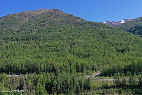 27141 Roop Rd, Eagle River, AK 99577 photo 75