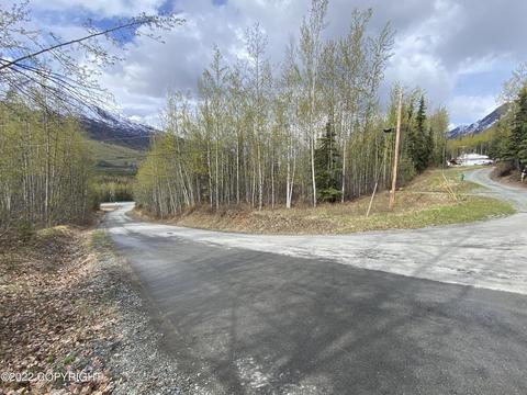 27141 Roop Rd, Eagle River, AK 99577 photo 14