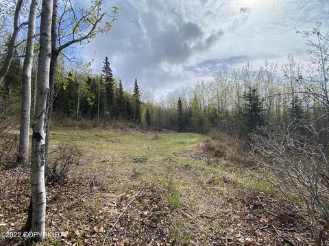 27141 Roop Rd, Eagle River, AK 99577 photo 47