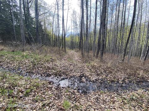 27141 Roop Rd, Eagle River, AK 99577 photo 41