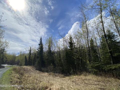 27141 Roop Rd, Eagle River, AK 99577 photo 60