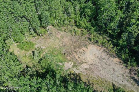27141 Roop Rd, Eagle River, AK 99577 photo 68