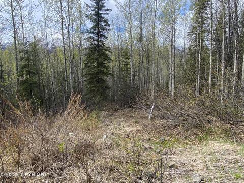 27141 Roop Rd, Eagle River, AK 99577 photo 24