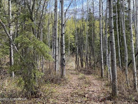 27141 Roop Rd, Eagle River, AK 99577 photo 28