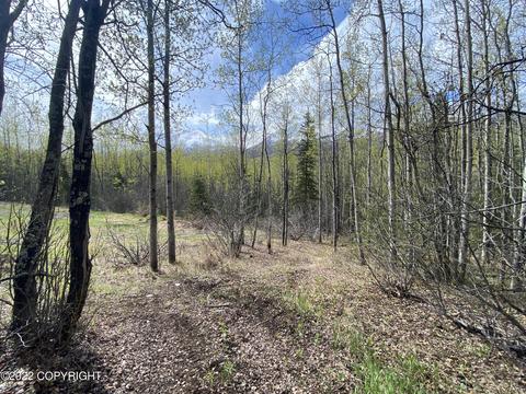 27141 Roop Rd, Eagle River, AK 99577 photo 46