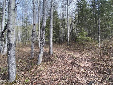 27141 Roop Rd, Eagle River, AK 99577 photo 33