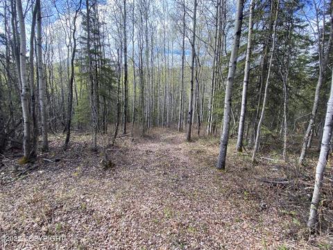 27141 Roop Rd, Eagle River, AK 99577 photo 48