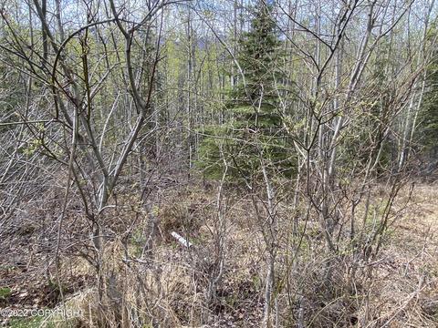 27141 Roop Rd, Eagle River, AK 99577 photo 23