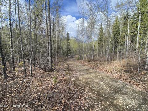 27141 Roop Rd, Eagle River, AK 99577 photo 55