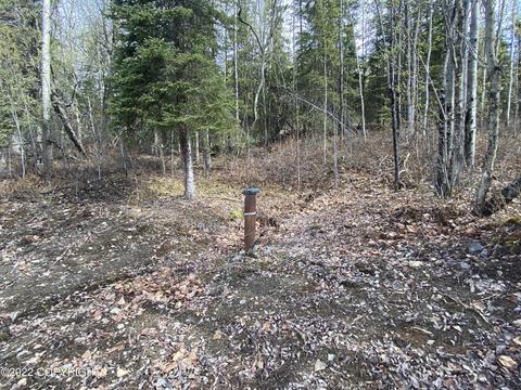 27141 Roop Rd, Eagle River, AK 99577 photo 53
