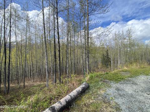 27141 Roop Rd, Eagle River, AK 99577 photo 63
