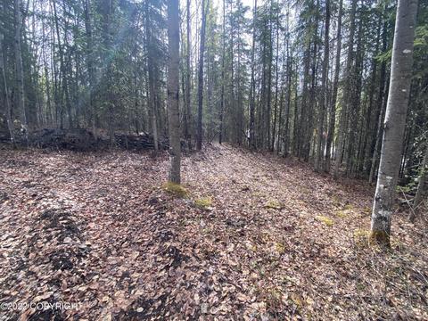 27141 Roop Rd, Eagle River, AK 99577 photo 31