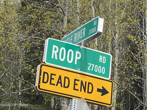 27141 Roop Rd, Eagle River, AK 99577 photo 2