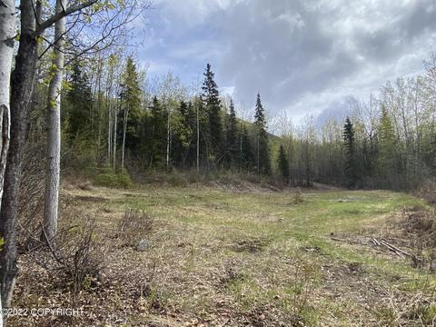 27141 Roop Rd, Eagle River, AK 99577 photo 25
