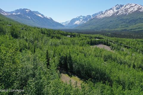 27141 Roop Rd, Eagle River, AK 99577 photo 65