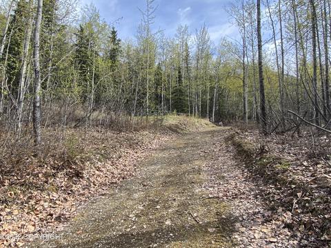 27141 Roop Rd, Eagle River, AK 99577 photo 20