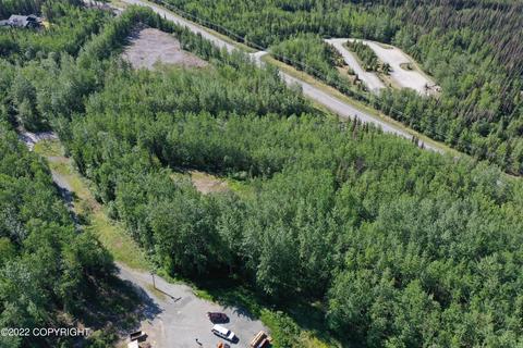 27141 Roop Rd, Eagle River, AK 99577 photo 90
