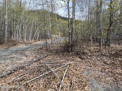 27141 Roop Rd, Eagle River, AK 99577 photo 15