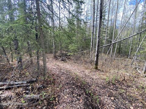 27141 Roop Rd, Eagle River, AK 99577 photo 34
