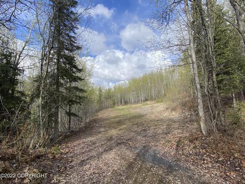 27141 Roop Rd, Eagle River, AK 99577 photo 54
