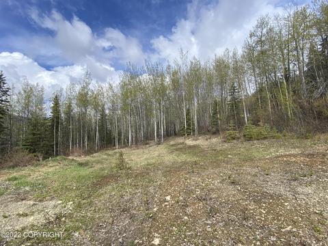 27141 Roop Rd, Eagle River, AK 99577 photo 51