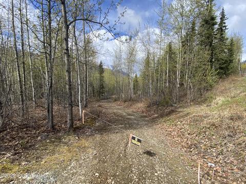 27141 Roop Rd, Eagle River, AK 99577 photo 56