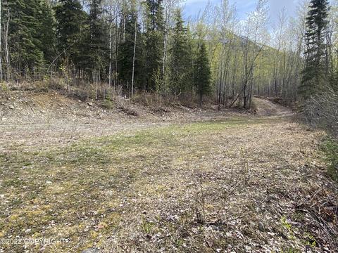 27141 Roop Rd, Eagle River, AK 99577 photo 21