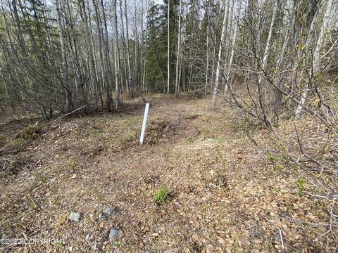 27141 Roop Rd, Eagle River, AK 99577 photo 50