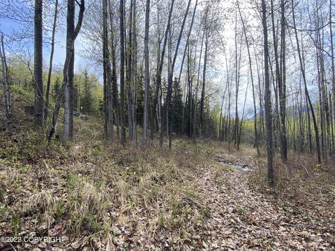 27141 Roop Rd, Eagle River, AK 99577 photo 40