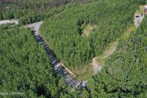 27141 Roop Rd, Eagle River, AK 99577 photo 84