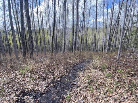 27141 Roop Rd, Eagle River, AK 99577 photo 42