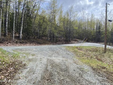 27141 Roop Rd, Eagle River, AK 99577 photo 18
