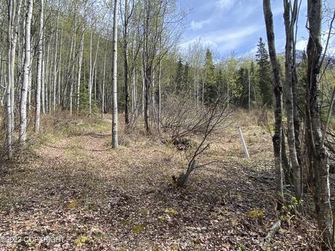27141 Roop Rd, Eagle River, AK 99577 photo 27