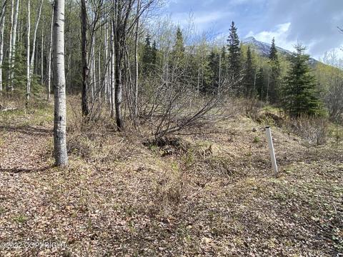 27141 Roop Rd, Eagle River, AK 99577 photo 26