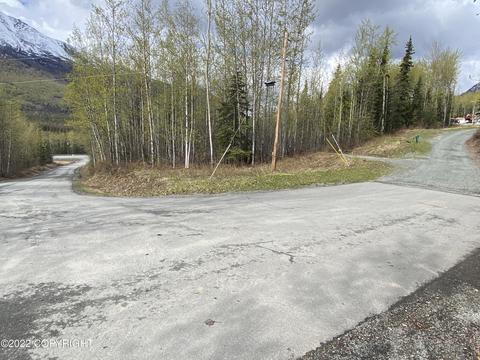 27141 Roop Rd, Eagle River, AK 99577 photo 17
