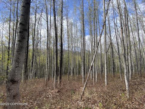 27141 Roop Rd, Eagle River, AK 99577 photo 44
