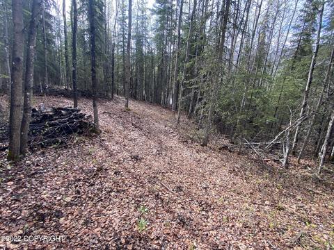 27141 Roop Rd, Eagle River, AK 99577 photo 32
