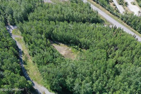 27141 Roop Rd, Eagle River, AK 99577 photo 89