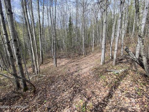 27141 Roop Rd, Eagle River, AK 99577 photo 37