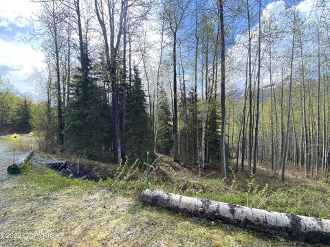 27141 Roop Rd, Eagle River, AK 99577 photo 64
