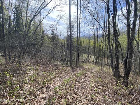 27141 Roop Rd, Eagle River, AK 99577 photo 45